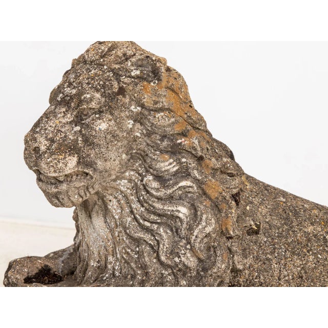 Circa 1920 English Pair of Large Recumbent Concrete Lions For Sale - Image 12 of 12