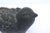 Late 20th Century Cast Iron Chubby Bird Doorstop For Sale In Cincinnati - Image 6 of 6