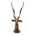 Mid 20th Century Brass Antelope Gazelle Statue For Sale