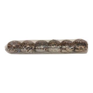 1970s Tiger Cowrie Shell Napkin Rings, Set of 6 For Sale