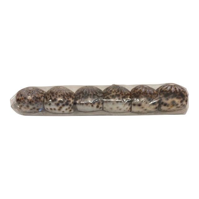 1970s Tiger Cowrie Shell Napkin Rings, Set of 6 For Sale