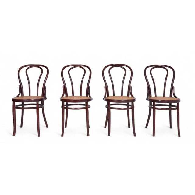 Brown Vintage Sl N8 Chairs, Set of 4 For Sale - Image 8 of 8