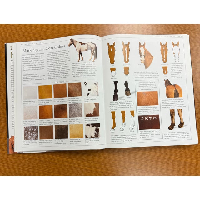 White Ultimate Horse Coffee Table Hardcover Book 2002 For Sale - Image 8 of 10