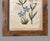 Rustic Antique Custom Rustic Country Framed Latin Botanical Flower Print For Sale - Image 3 of 9
