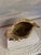 Vintage Large Brass Conch Seashell Planter For Sale In Philadelphia - Image 6 of 7