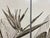 Vision Studio Bird of Paradise Triptych Canvas Wall Art, Set of Three For Sale In San Francisco - Image 6 of 11