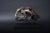Metal sculpture in the form of a large predatory cat skull with an open jaw and prominent gold-toned fangs, mounted on a...