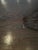 Andrianna Shamaris Mid Century Couture Espresso Stained Teak Wood Table For Sale - Image 13 of 18
