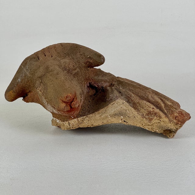 A salvaged terracotta head bust of a ram. What this belonged to originally we're unsure, but it seems to have been...