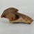 A salvaged terracotta head bust of a ram. What this belonged to originally we're unsure, but it seems to have been...