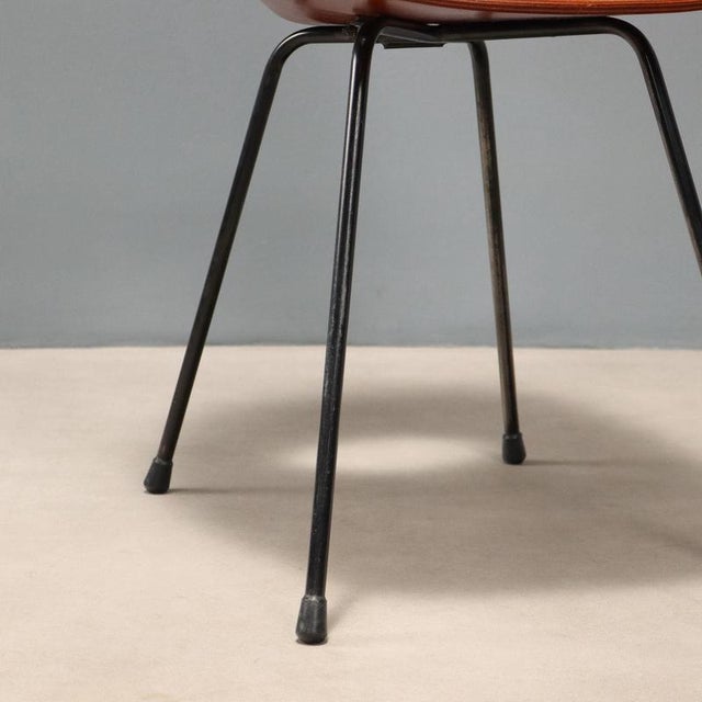 Wood Vintage Medea Chair by Vittorio Nobili for F.lli Tagliabue, 1960s For Sale - Image 7 of 11