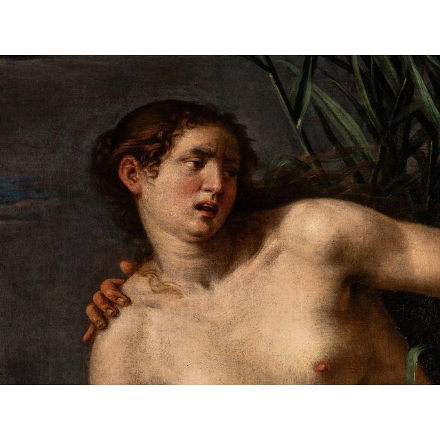 Textile Giovanni Venanzi, Pan and Syringe, 1674, Oil on Canvas For Sale - Image 7 of 9