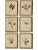 Framed Antique Herbarium Botanicals, 1897 — Set of 10 For Sale - Image 4 of 17