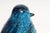 Large Vintage Italian Rimini Blu Ceramic Penguin by Aldo Londi for Bitossi For Sale - Image 10 of 16