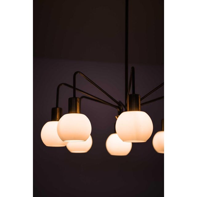 Scandinavian Modern Chandelier in Brass and Opaline Glass, 1950s For Sale - Image 4 of 11