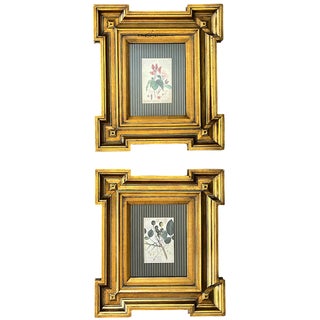 Paragon Botanical & Fruit Prints in Monumental Architectural Giltwood Frames, Pair For Sale