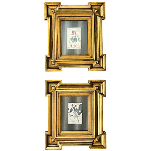 Paragon Botanical & Fruit Prints in Monumental Architectural Giltwood Frames, Pair For Sale