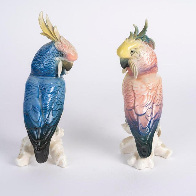 Pair of porcelain parrots, 20th century. Porcelain sculpture depicting parrots, 20th century. H: 20 cm, W: 9 cm, D: 8 cm