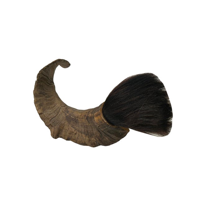 Add a touch of organic elegance to your space with this unique rustic natural horn shape brush accent display. Handcrafted...