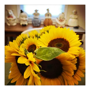 Contemporary Sunflowers From Bridgehampton Original Photograph