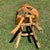 Vintage Handcrafted Rustic Live Edge Log Dining Set With Four Sculpted Wood Chairs For Sale - Image 11 of 16