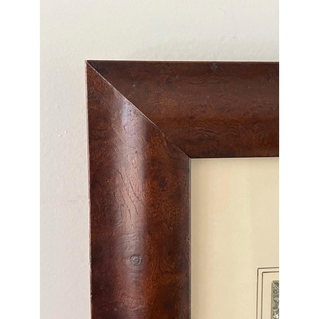 Pair of Johann Christoph Volckamer, Nurenberg Botanical Hand Colored Lithographs in Custom Frames For Sale In Houston - Image 6 of 8