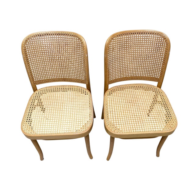 Josef Hoffmann Model 811 bentwood chair Made in Poland (Stamped on bottom) Has original FMG factory stickers on bottom...