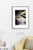 Fine art Giclee prints on Hahnemuhle Photo Rag 308gsm - a 100% cotton, acid-free, mould-made paper. Printed to Fine Art...