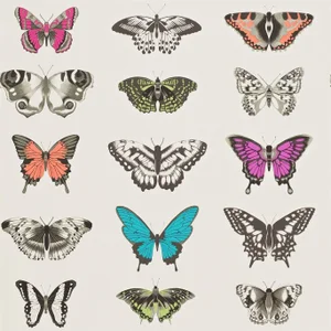 Harlequin Papilio Wallpaper in Flamingo/Papaya/Olive - a Sample