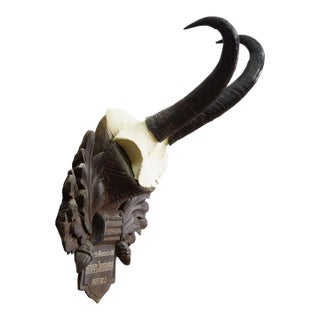 Large Chamois Trophy on Carved Plaque, Austria 1955 For Sale