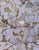 Sticks and Stones by Sheri Farabaugh | Oil on canvas Reflection of water with branches and leaves For Sale - Image 4 of 5