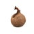 The Maasai milk gourd, a significant symbol in Maasai culture, epitomizes sustenance, community, and heritage within this...