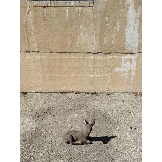 Vintage Reclining Fawn Seated Deer Small 16" Cement Concrete Stone Garden Statue For Sale - Image 14 of 15