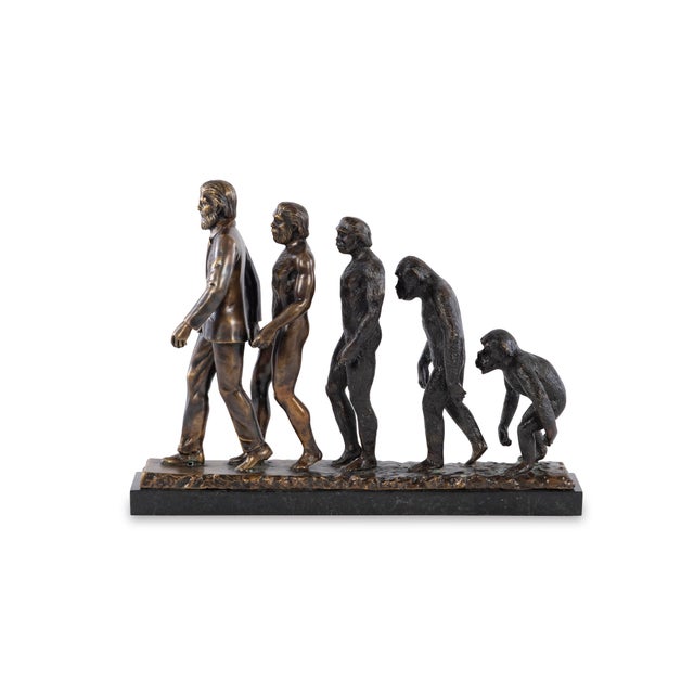 2020s Maitland-Smith Evolution Sculpture For Sale - Image 5 of 6