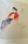 Antique White David Hockney: A Drawing Retrospective Book, 1st. Edition, Out of Print For Sale - Image 8 of 12