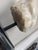 Rh Roman Discus Thrower Classical Sculpture Fragment on Stand For Sale In Los Angeles - Image 6 of 12