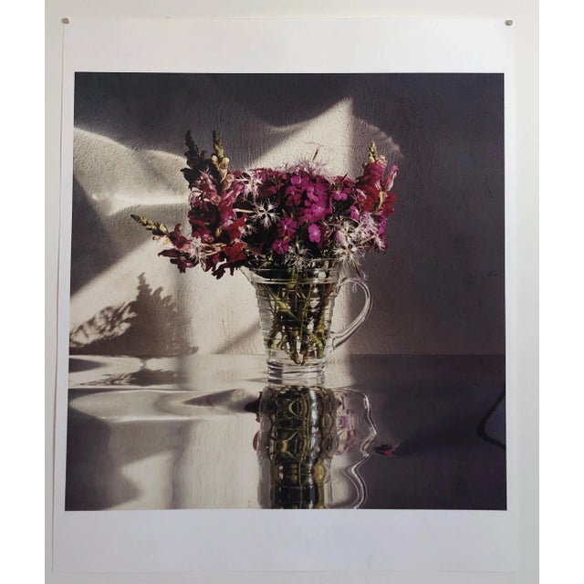 Peter C. Jones 1 Sweet Williams, Large Format Flowers Photo 24X20 Color Photograph Beach House, 2002 For Sale In Miami - Image 6 of 7