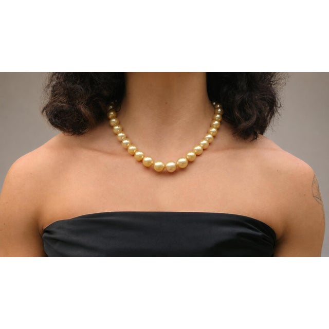We present one of the rarest and most valuable types of natural pearls – South Sea Golden Pearls. These exceptional pearls...