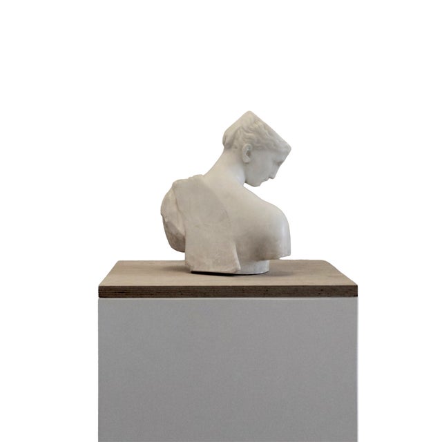 Grand Tour Italian Carved Marble Psyche of Capua Torso Sculpture, 1800s For Sale - Image 12 of 12