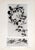 1900 - 1909 Set of 12 Antique Botanical Photogravure Plates From the First Edition of Nature's Aid to Design (1907) For Sale - Image 5 of 13