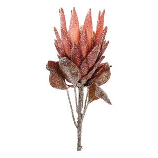 Red Protea Flower Stem (Set of 2) For Sale