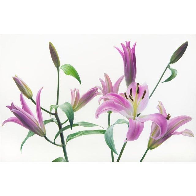 Lillies Unfurled - Oil on Canvas For Sale