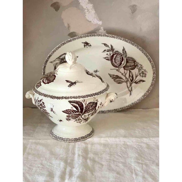 Brown Antique Late 19th Century Terre de Fer Soup Tureen and Serving Plate with Fruit and Insect Decoration from Choisy Le Roi, Set of 2 For Sale - Image 8 of 18