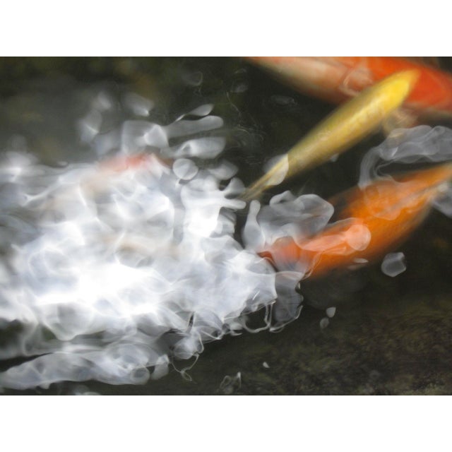 Limited edition contemporary color photograph by Dorothy Solomon Image Size: 18”x 24" Frame Size: 21.875”x 27.875” Edition...