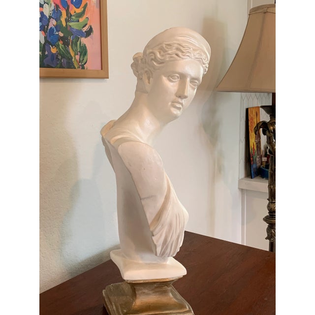 Neoclassical Bust of Dianna, Goddess of the Hunt For Sale - Image 4 of 4