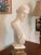 Neoclassical Bust of Dianna, Goddess of the Hunt For Sale - Image 4 of 4