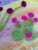 Textile Contemporary Fiber Art Desert Landscape Set With Haiku by Paula Darnell For Sale - Image 7 of 9