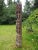 Wooden Pillar column from Nuristan Afghanistan Aromatic cedar wood column . Tree shaped. Kalam valley, Swat Kohistan,...