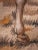 Nobleman on Horseback Gobelin For Sale - Image 9 of 14