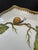 Anna Weatherely Butterfly Spring in Budapest Handpainted Porcelian Series Cream & Sugar With Serving Trey For Sale In New York - Image 6 of 10